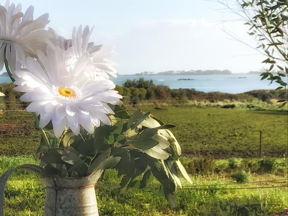Le Petit Gite Cosy De Kerigou Avec Vue Mer Et Plage Saint-Pol-de-Léon Εξωτερικό φωτογραφία